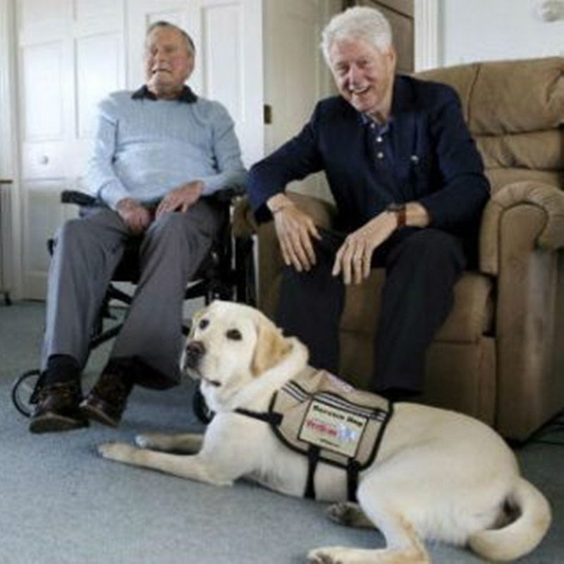 Bush volt elnök üdvözli az új szolgálati kutyát a Kennebunkport Compound -ban
